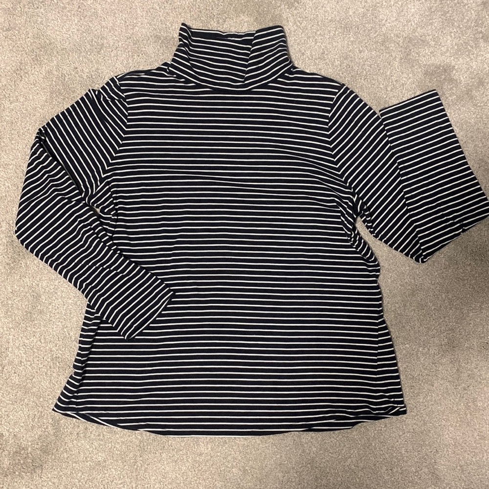 J.Jill Luxe Supima Turtleneck